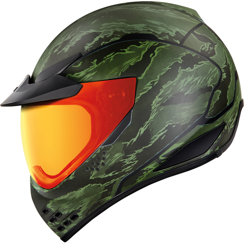 Casque de sang de tigre du domaine de l'icône