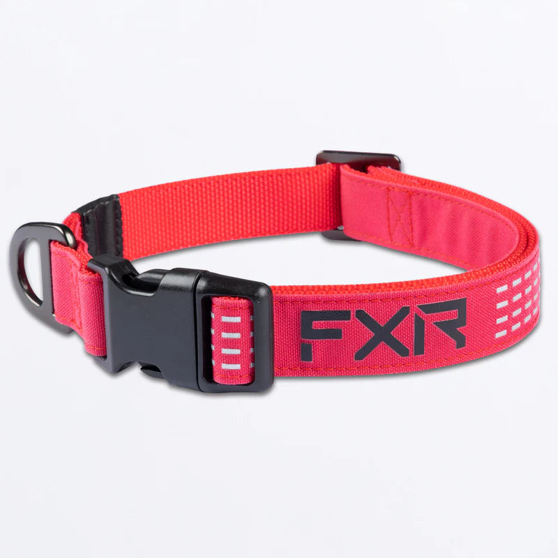 FXR Dog Collar