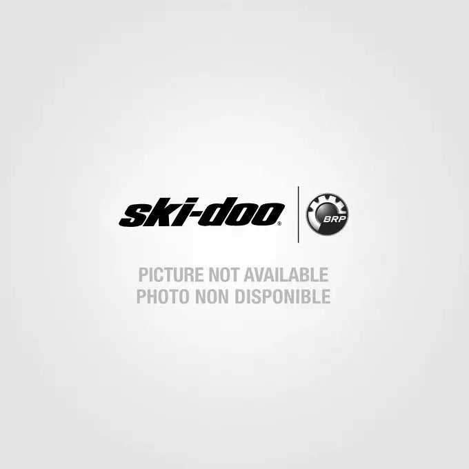 Ski-Doo Alert Light