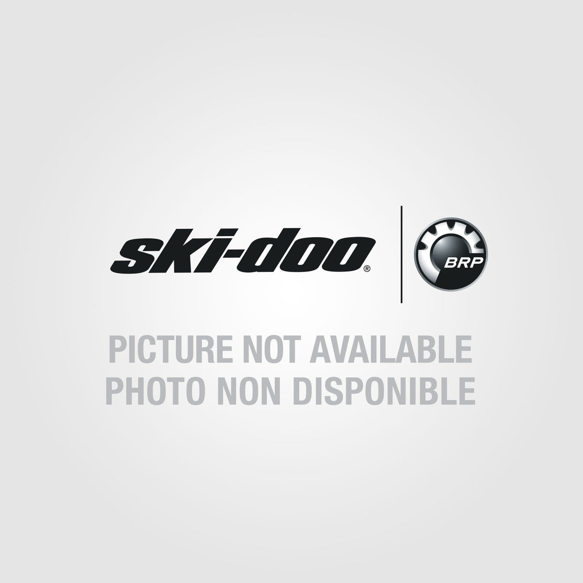 Autocollant de protection Ski-Doo pour porte-skis/snowboard LinQ