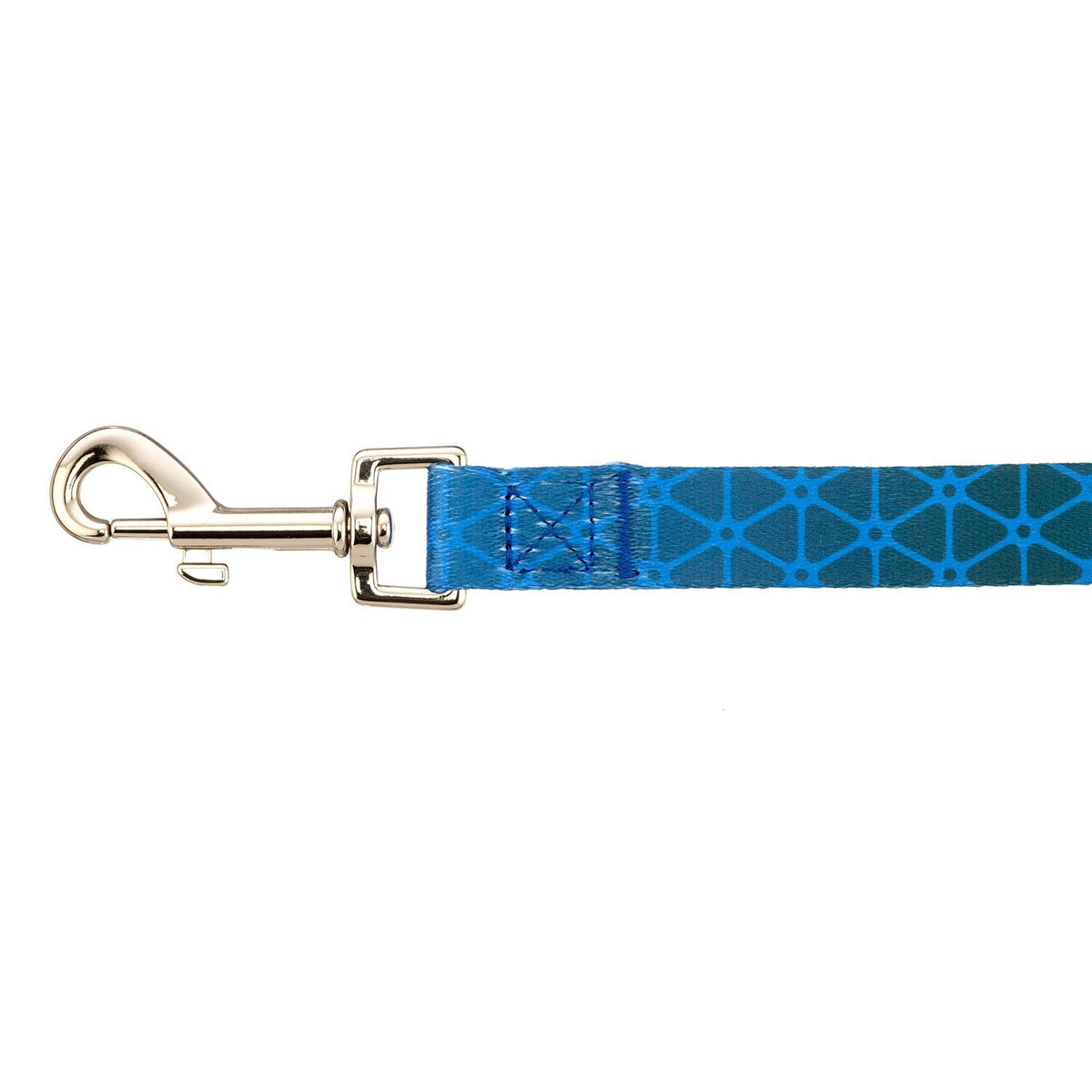 BRP Dog Leashes And Collar (Small Dogs)