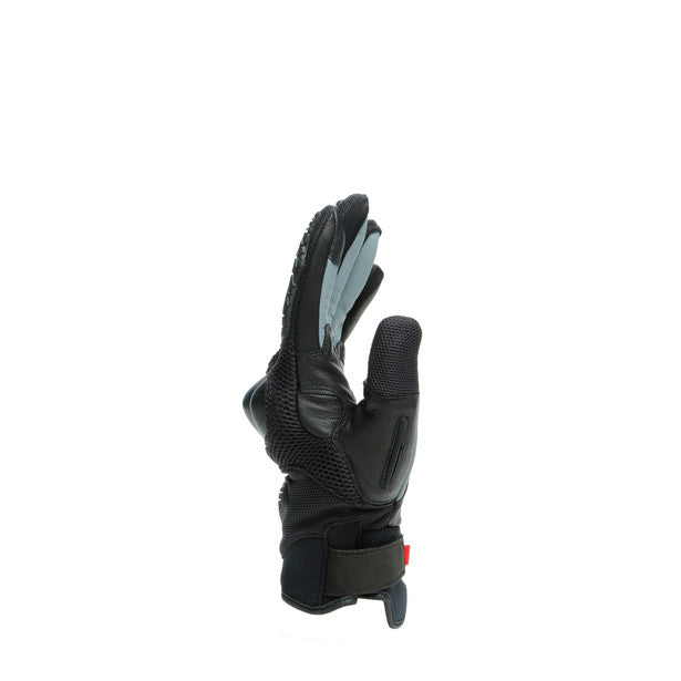 Gants Dainese D-Explorer 2